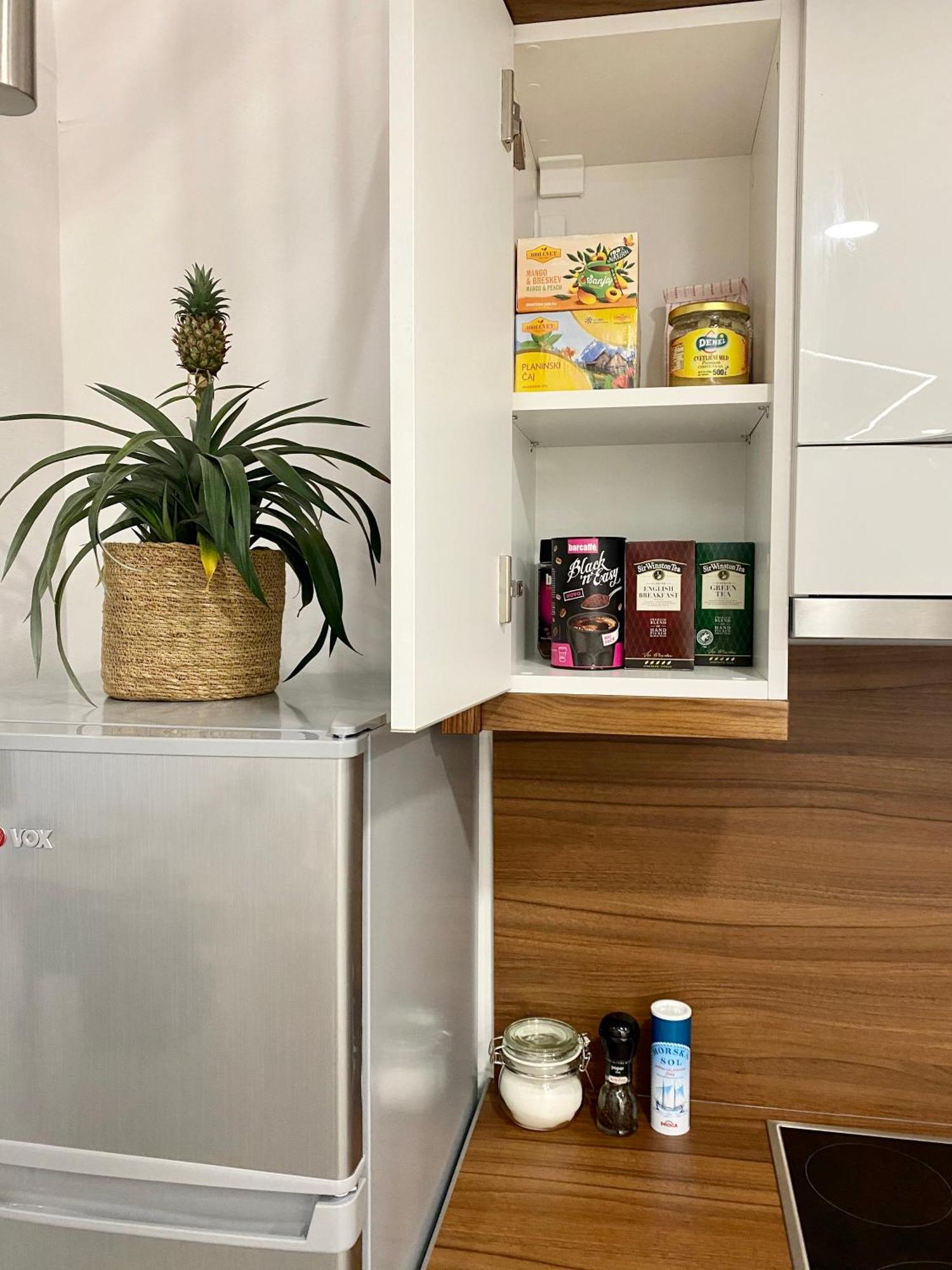 לובליאנה Jungle Loft - Central/Free Parking מראה חיצוני תמונה
