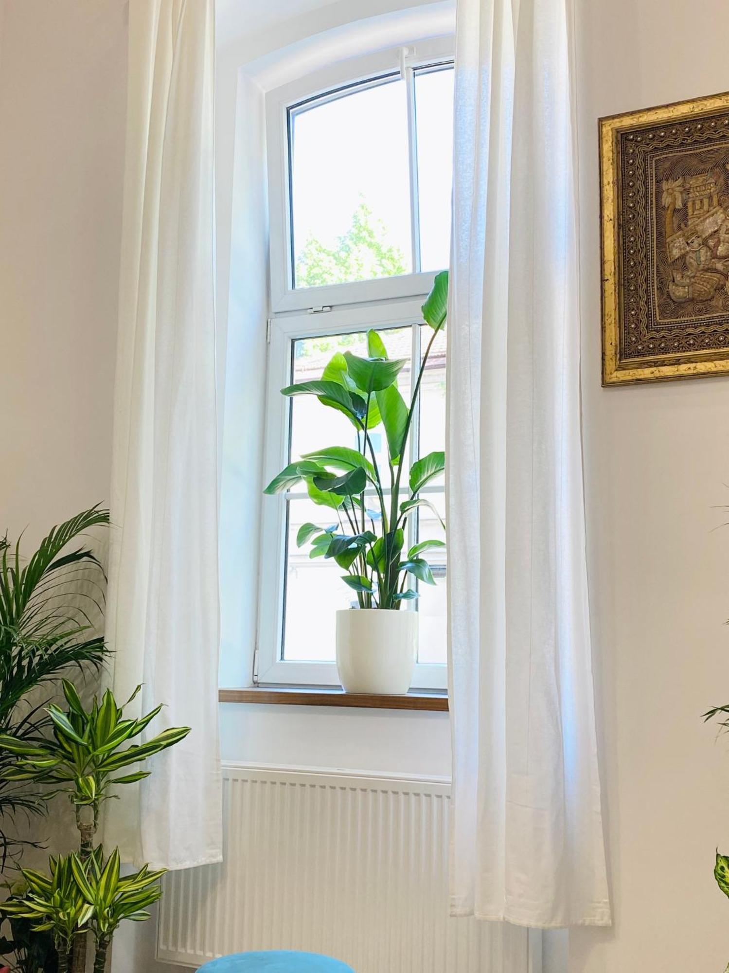 לובליאנה Jungle Loft - Central/Free Parking מראה חיצוני תמונה