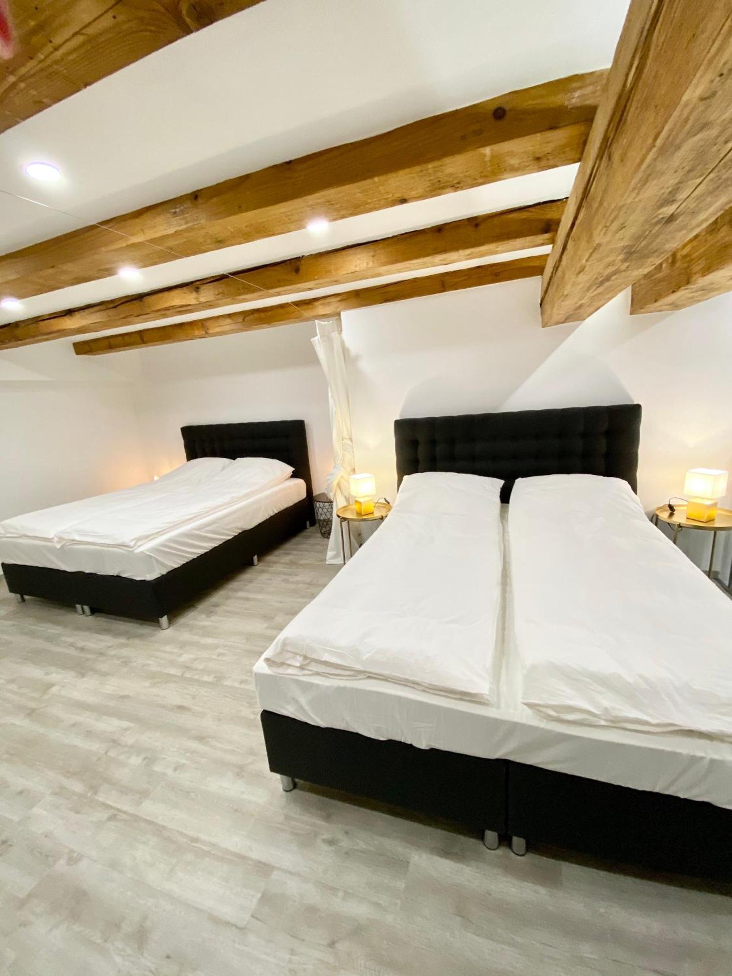 לובליאנה Jungle Loft - Central/Free Parking מראה חיצוני תמונה