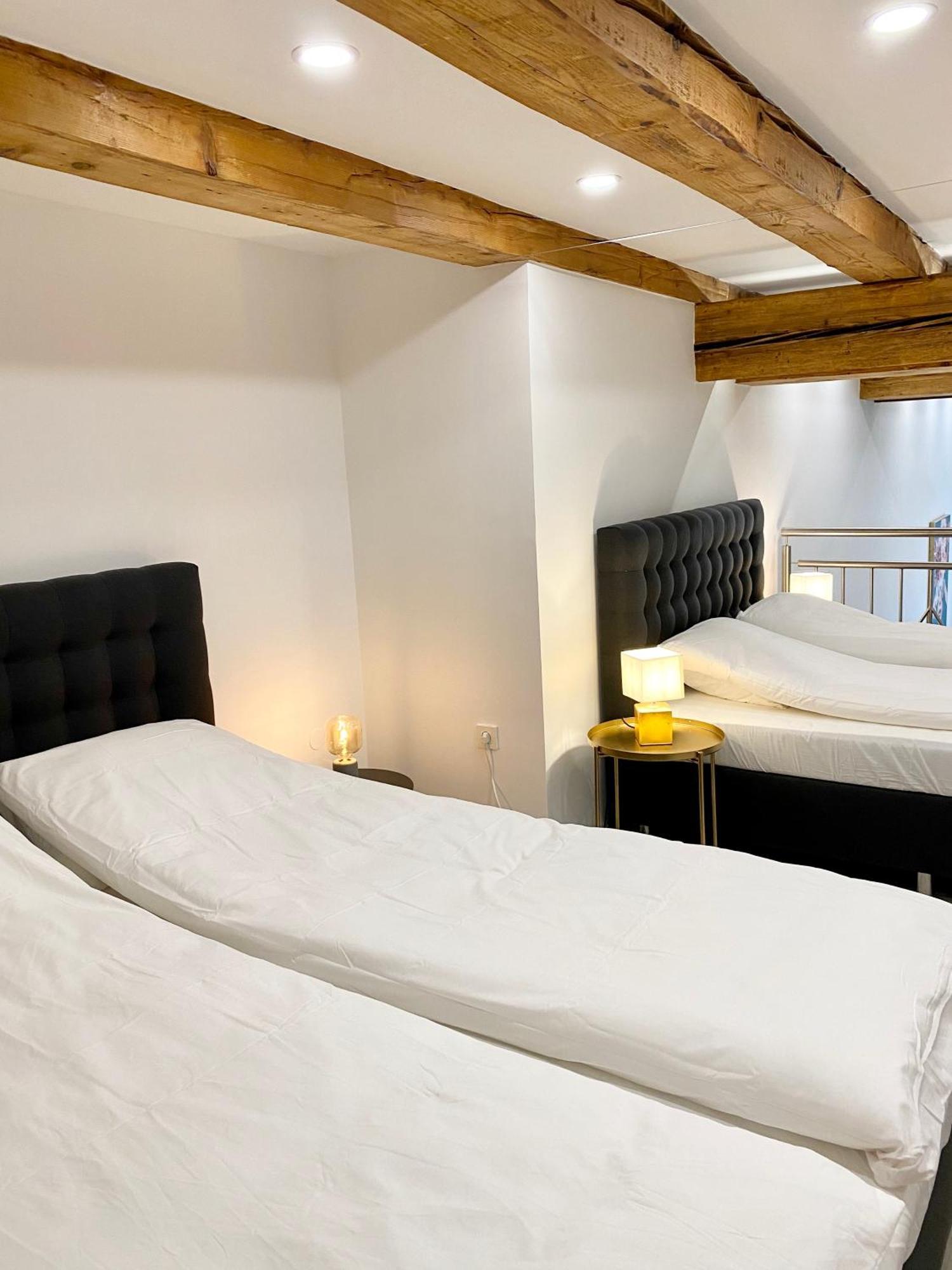 לובליאנה Jungle Loft - Central/Free Parking מראה חיצוני תמונה