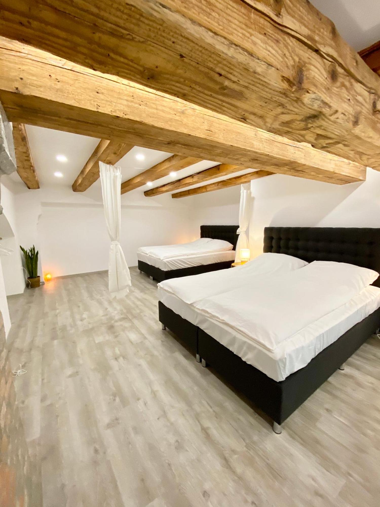 לובליאנה Jungle Loft - Central/Free Parking מראה חיצוני תמונה